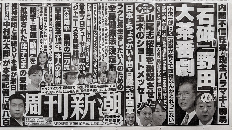 週刊新潮 広告 政治