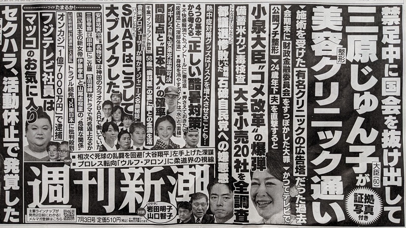 週刊新潮 広告 政治