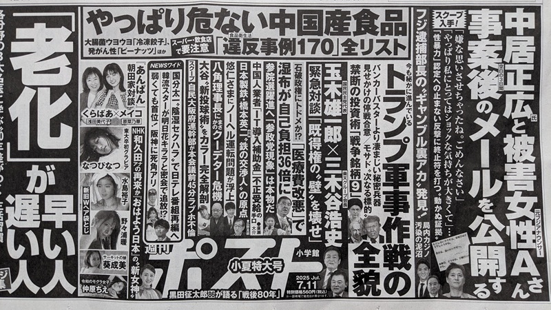 週刊ポスト 広告 政治