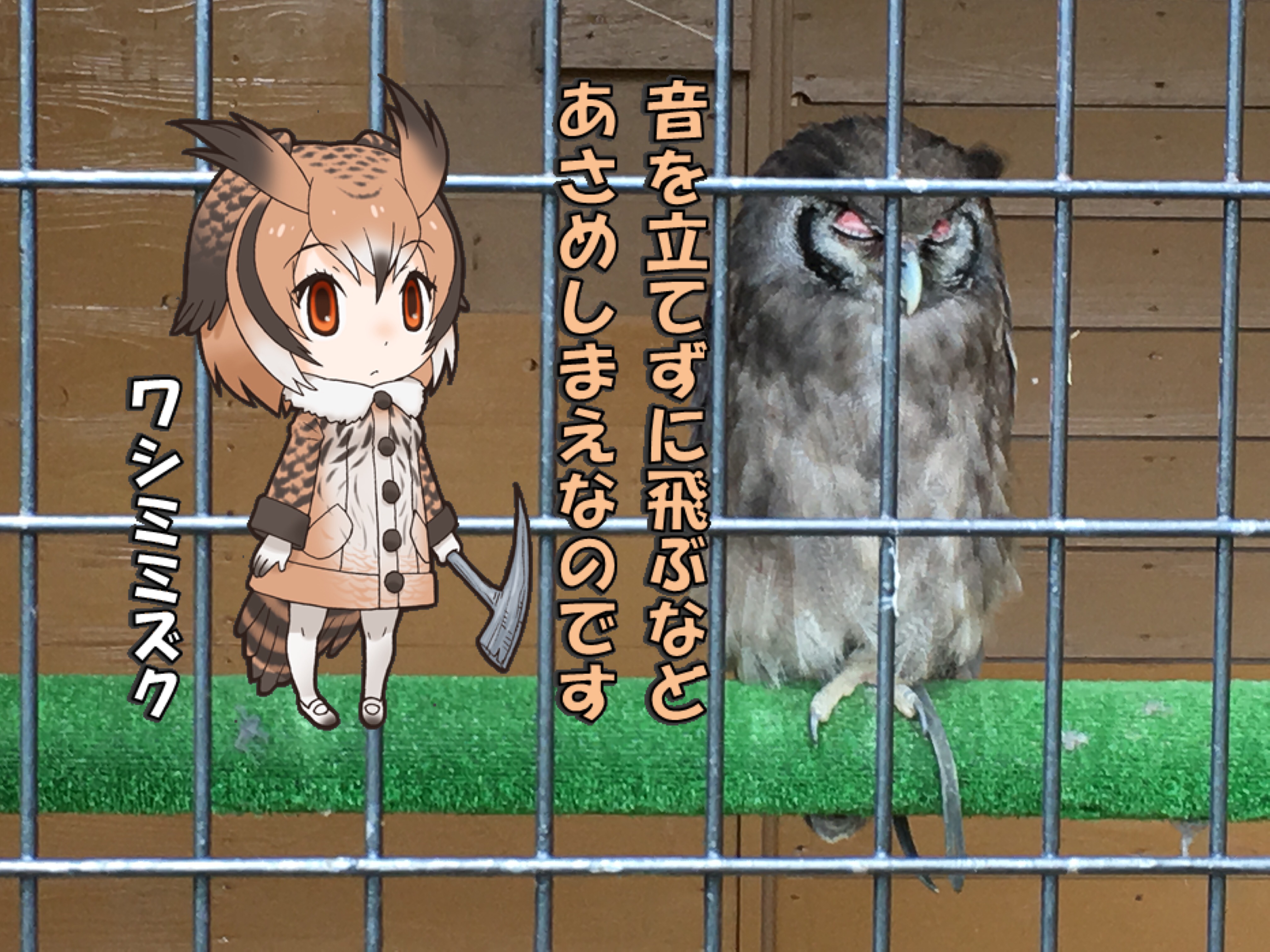 けものフレンズ とコラボしてる 那須どうぶつ王国 で撮ってきた合成写真