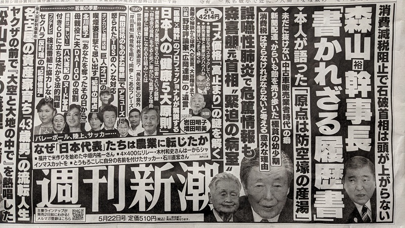 週刊新潮 広告 政治