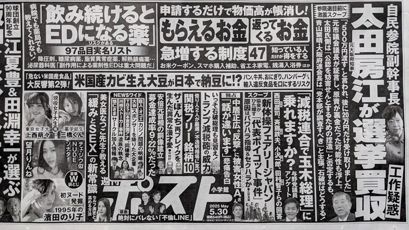 週刊ポスト 広告 政治