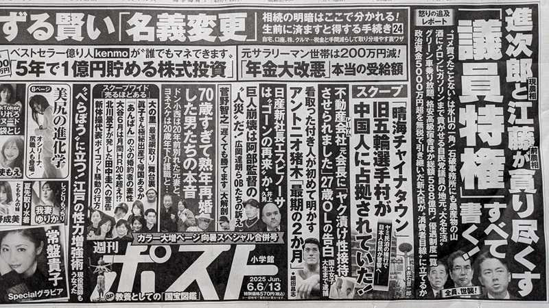 週刊ポスト 広告 政治