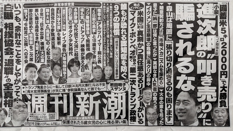 週刊新潮 広告 政治