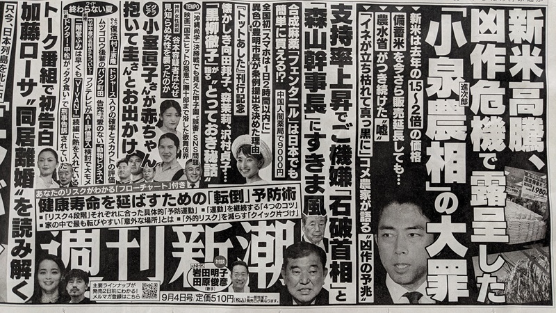 週刊新潮 広告 政治