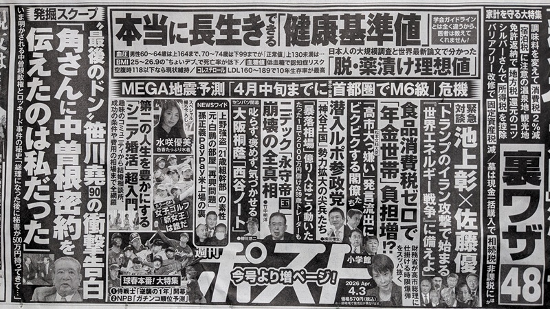 �T���|�X�g �L�� ����